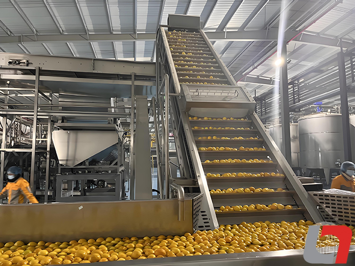 龍應(yīng)果汁生產(chǎn)線設(shè)備多少錢