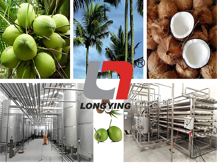 龍應椰子汁生產(chǎn)線整套設備多少錢