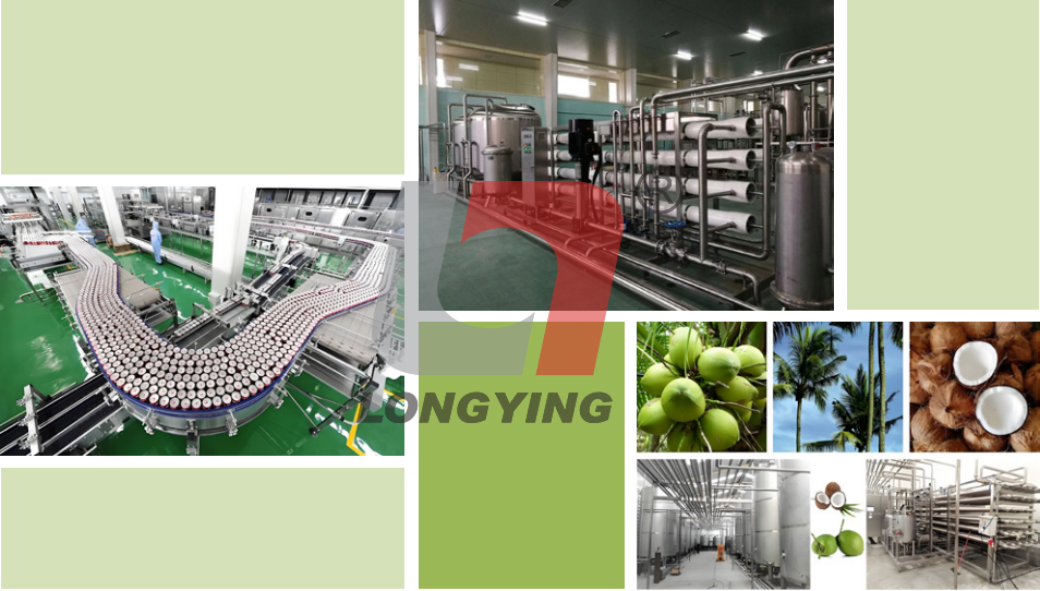 龍應椰子汁生產(chǎn)線